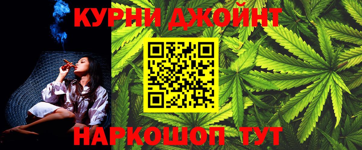 Конопля семена Тосно